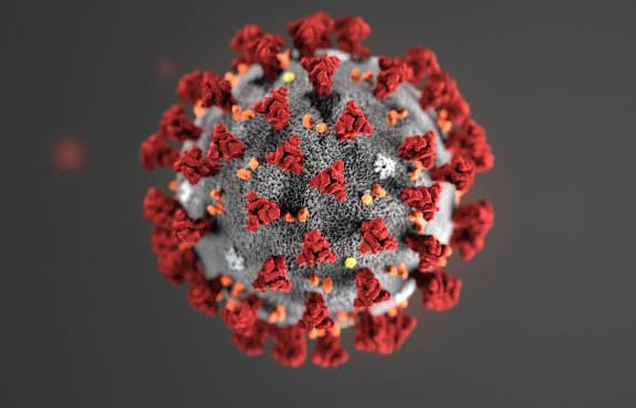 ОХУ-ын эрдэмтэд “ковид-19” вирус хурдан хувьсаж буйг анхаарууллаа