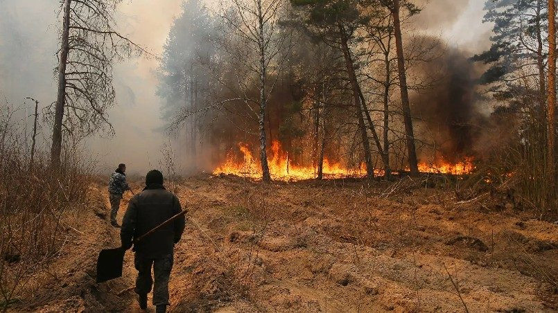 Чернобылийн бүсэд дэгдсэн түймрийг унтраажээ