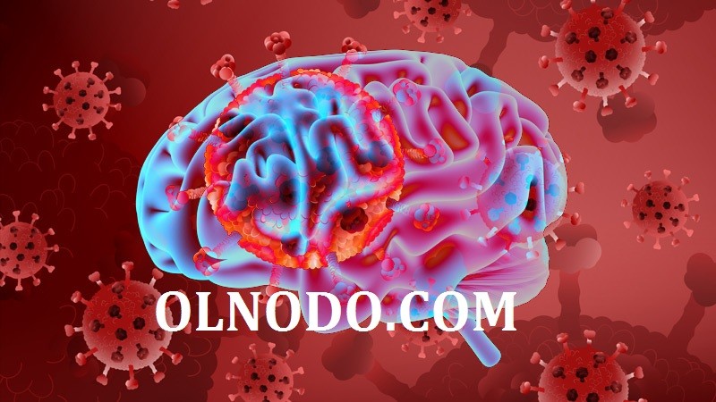 Коронавирус тархинд нэвтэрч, мэдрэлийг системийг гэмтээдэг