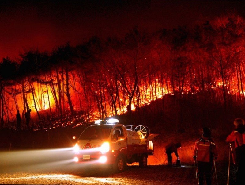 БНСУ: Гал түймэрт 85 га ой устжээ