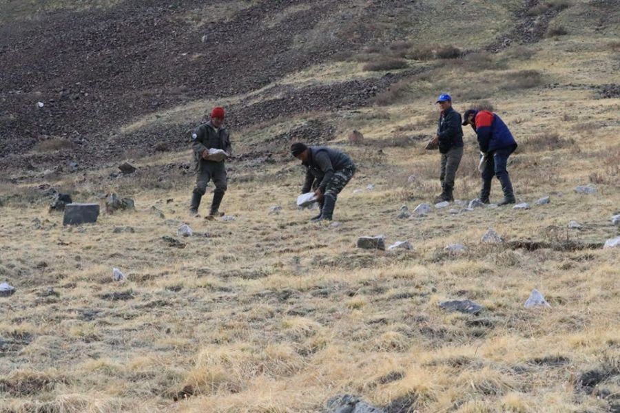 Зэрлэг ан амьтдын байршдаг газруудад давс хужир хүргэж тавилаа