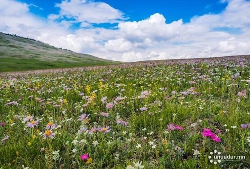 Зургаадугаар сарын цаг агаарын төлөв