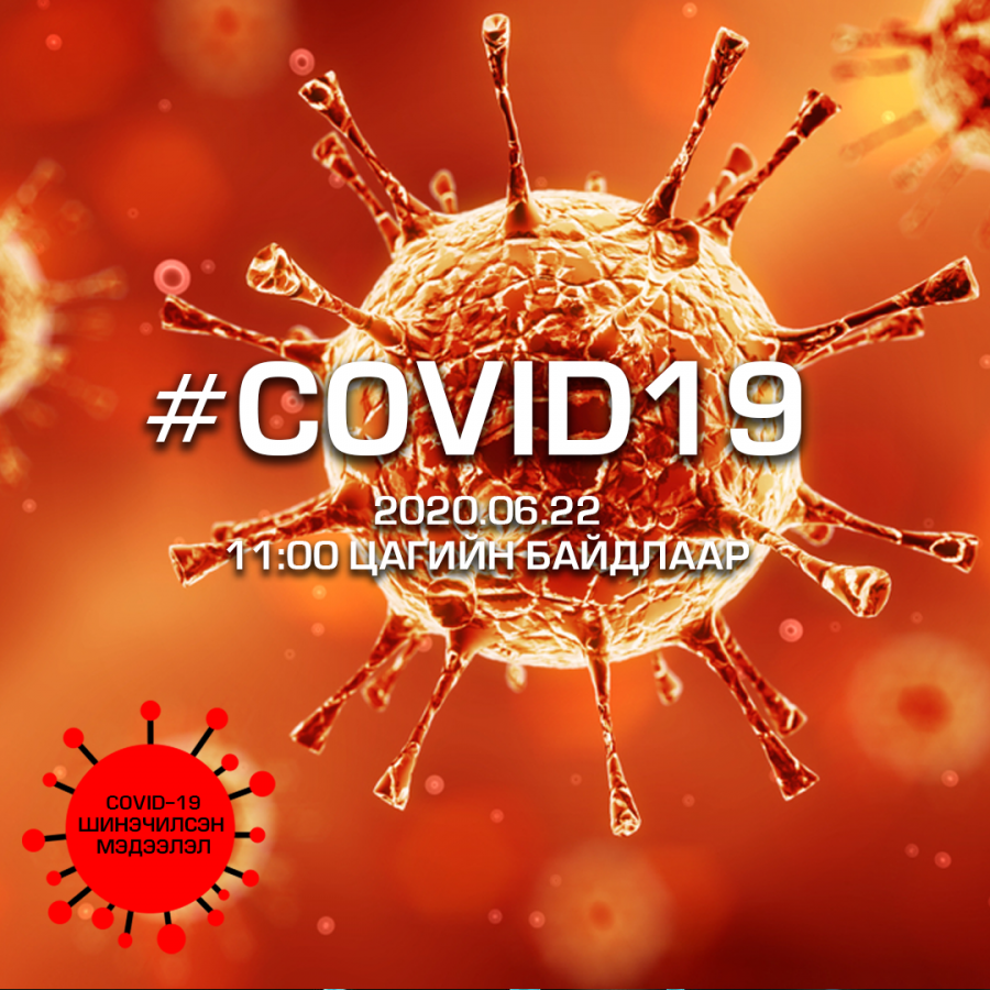 “COVID-19” халдварын тохиолдлын тоо 9 сая 45 мянга давж, эдгэрсэн хүний тоо 4 сая 838 мянгад хүрлээ.