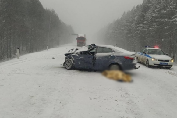 ОХУ-д хүний амь нас хохироосон монгол жолоочид ял оноолоо