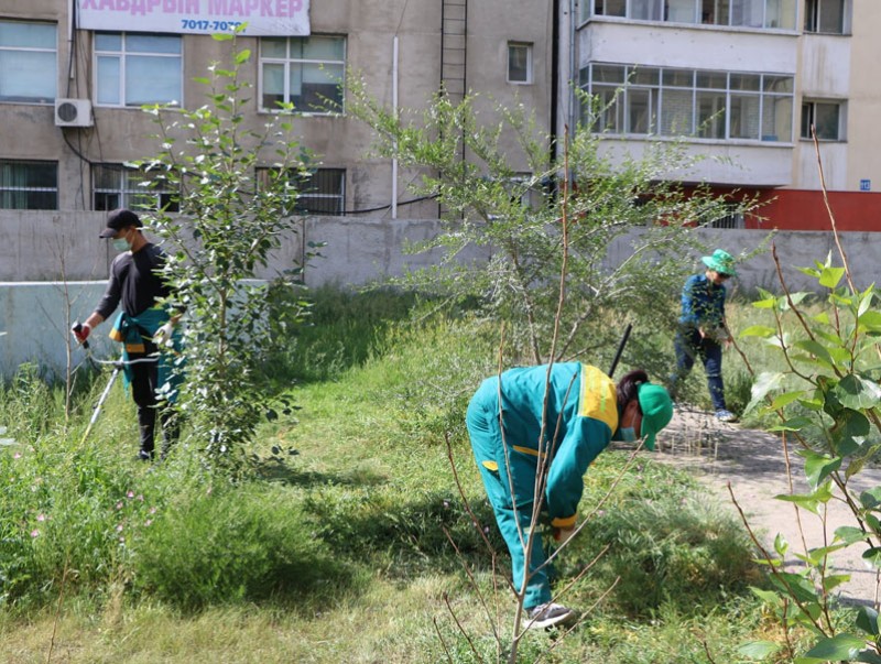 “Шарилжгүй Улаанбаатар-5” аян УГТЭ дээр үргэлжилж байна