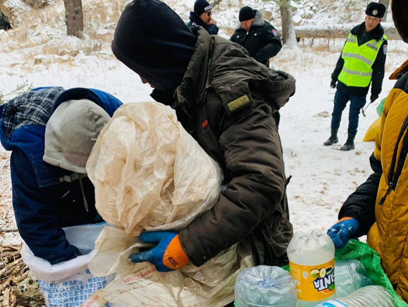 Дархан цаазат газраас хуш модны самарыг түүж бэлтгэхийг хориглодог