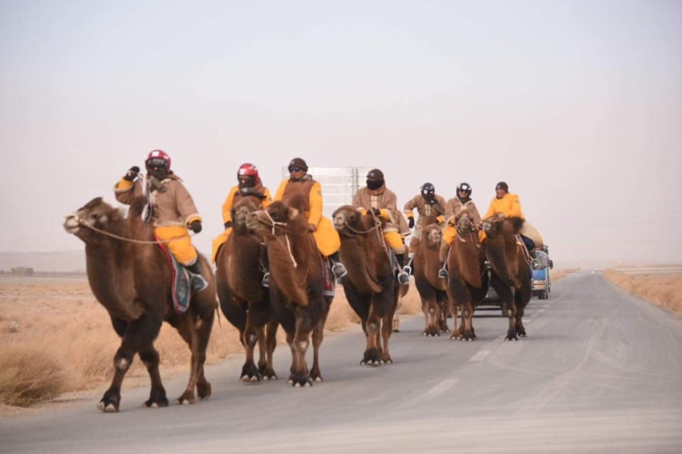 “Gobi challenge-2020” олон өдрийн тэмээн аялал үзэгчдийн хүртээл болно