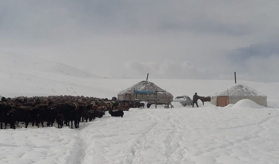 Баян-Өлгий аймгийн Цэнгэл суманд энэ сарын 26-27-ны өдрүүдэд нойтон цас орсон байна