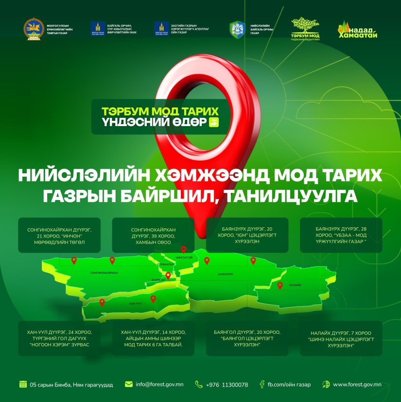 Улаанбаатар хотын найман байршилд мод тарина.
