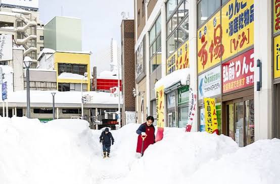 Японд их хэмжээний цас орсны улмаас 30 хүн нас баржээ