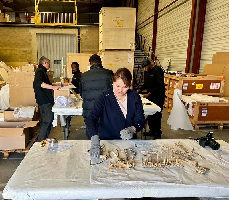 Үлэг гүрвэлийн олдворуудыг эх оронд нь эргүүлэн авчрах ажлын хэсэг Парис хотноо ажиллажээ