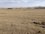 Өмчилсөн 700 m2 газар зарна. Утас 89007440