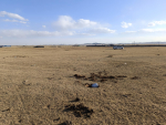 Өмчилсөн 700 m2 газар зарна. Утас 89007440