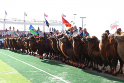 “Тэмээн дээрээс наран ойрхон” өвлийн их наадам Дундговь аймагт болж байна.