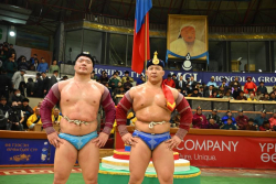 Сар шинийн барилдаанд улсын заан М.Лхагвагэрэл түрүүлжээ