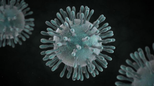 БНАСАУ-д коронавирусний халдварын анхны тохиолдол илэрчээ
