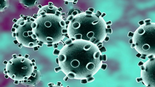 ДЭМБ-аас гаргасан коронавирусээс хамгаалах арван зөвлөмж