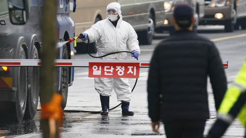 Өмнөд Солонгост коронавирусийн халдвар авсан хүний тоо 156 боллоо