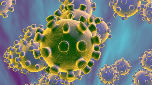 БНСУ-д коронавирусний халдварын 142 шинэ тохиолдол илэрчээ