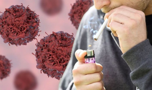 Тамхи татдаг хүмүүс коронавирусээр халдварлах магадлал өндөр