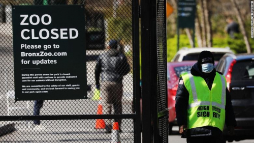 “Бронкс” амьтны хүрээлэнгийн өөр долоон амьтнаас халдвар илэрчээ