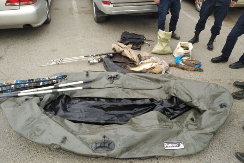 Хуулиар хориглосон хугацаанд загас барьсан этгээдийг саатууллаа