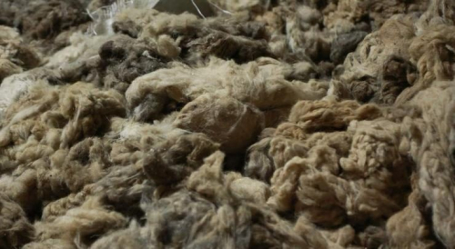 Гурван сумаас 130,5 тонн ноолуур худалдан авчээ