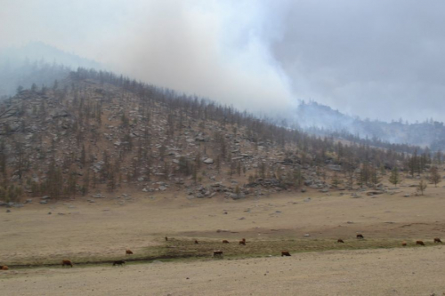 Онгоны амны цурманд оруулсан ойн түймрийг бүрэн унтраахаар ажиллаж байна