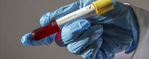 Коморост халдварын анхны тохиолдол бүртгэгдлээ