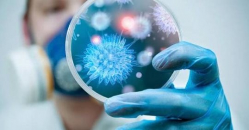 ДЭМБ-ын мэдээллээс үзвэл, энэ вирус нь амьтны гаралтай аж.