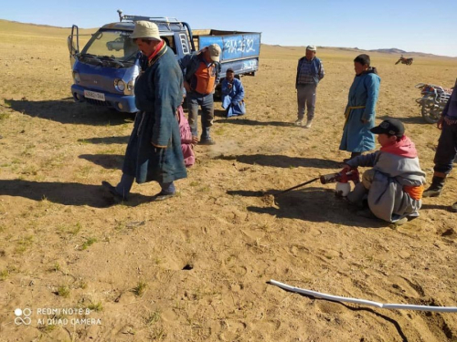 Завханы 84 багийн нутагт үлийн цагаан оготнотой тэмцэв