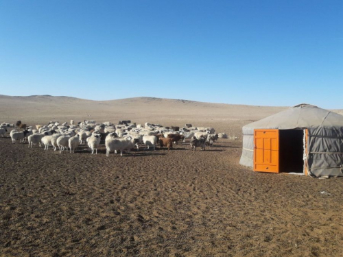 Дундговь аймгийн нутгаар хаваржилт хүндхэн байна