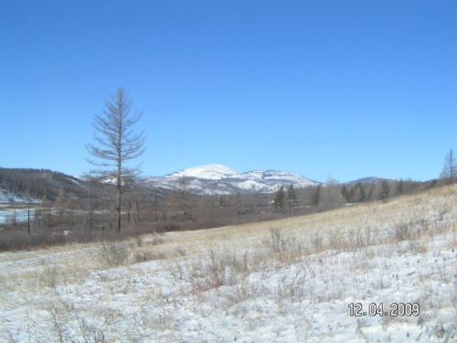 Ноён уул орчмын газрыг улсын тусгай хамгаалалтад авахаар болов