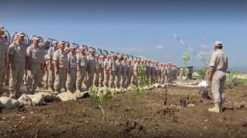 Оросын цэргүүд Сирид 75 ширхэг мод тарьжээ