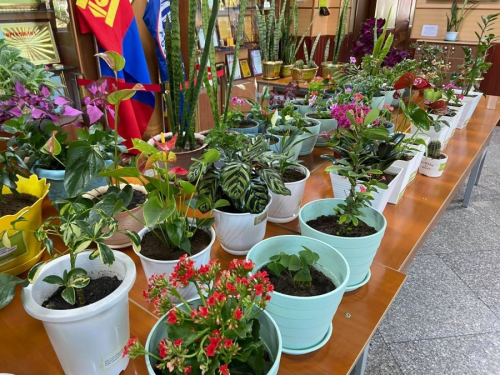 “Нэг алба хаагч-Хоёр цэцэг” цэцэгжүүлэх уралдаан зохион байгууллаа