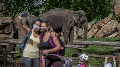 Австрид зоогийн газар, амьтны хүрээлэнгүүдийн үйл ажиллагааг явуулж эхэлнэ