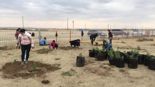 Асрамжийн ахмадуудад ногоон орчин бэлэглэв