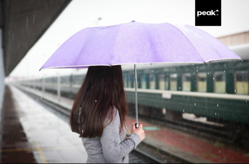 Улаанбаатарт гурван өдөр дараалан БОРОО ОРНО