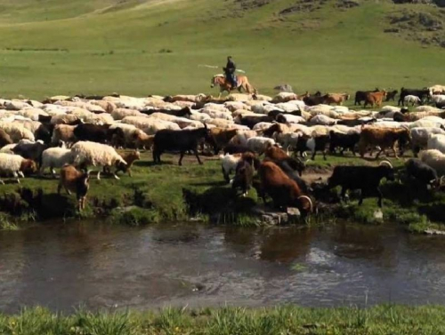 “Малчдын хөдөлмөрийг үнэлж, тэтгэврийн насыг наашлуулсан төр засагтаа баярлалаа”