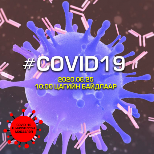 “COVID-19” халдварын тохиолдлын тоо 9 сая 527 мянга давж, эдгэрсэн хүний тоо 5 сая 175 мянгад хүрлээ.