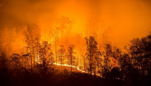 АНУ-ын муж улсуудад ойн түймэр дэгдсэнтэй холбогдуулан аюулын “улаан” түгшүүр зарлажээ