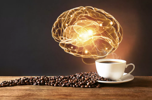 Кофе тархинд хэрхэн нөлөөлдгийг судалжээ