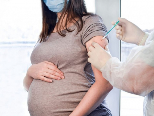 14-36 долоо хоногтой жирэмсэн болон хөхүүл эмэгтэйчүүдийг вакцин тариулахыг уриалж байна