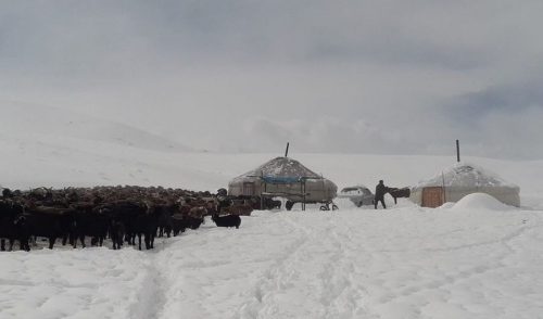 Баян-Өлгий аймгийн Цэнгэл суманд энэ сарын 26-27-ны өдрүүдэд нойтон цас орсон байна