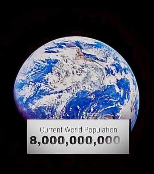 Дэлхийн хүн ам өнөөдөр 8 тэрбумд хүрлээ