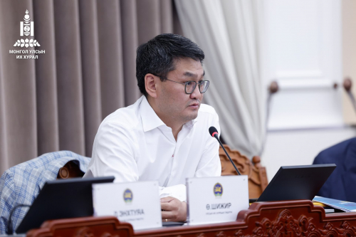 Ө.Шижир: Эрүүл мэндийн салбарт “өвдөх л юм бол үх” гэдэг зарчим үйлчилж байна