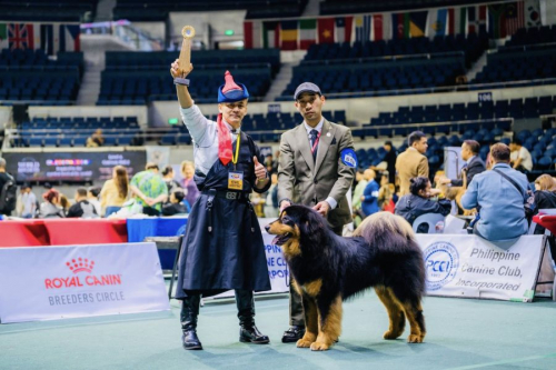 Ази тивийн аварга шалгаруулах тэмцээнд монгол банхар тэргүүн байр эзэлжээ.